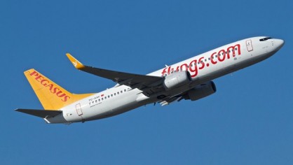 pegasus_11
